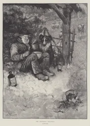 Il Natale del pastore